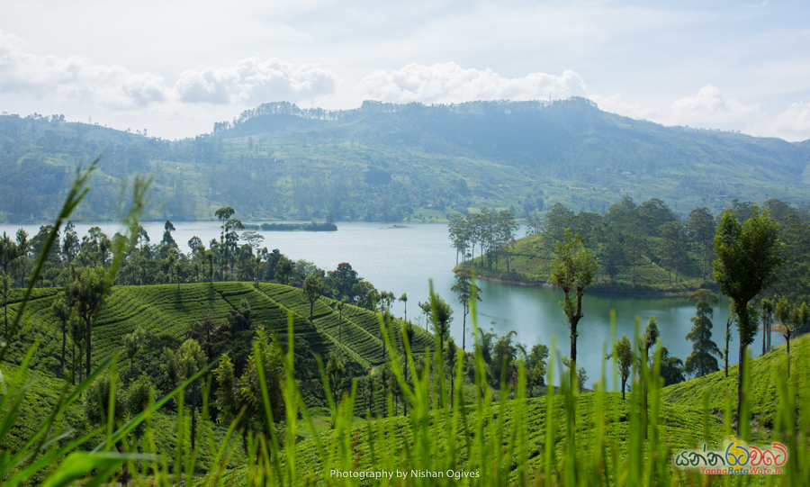 adams-peak 