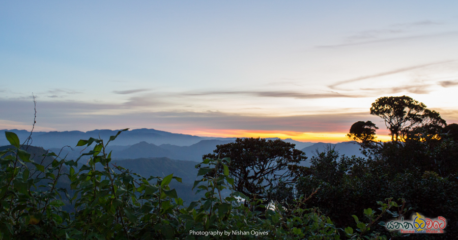 adams-peak 