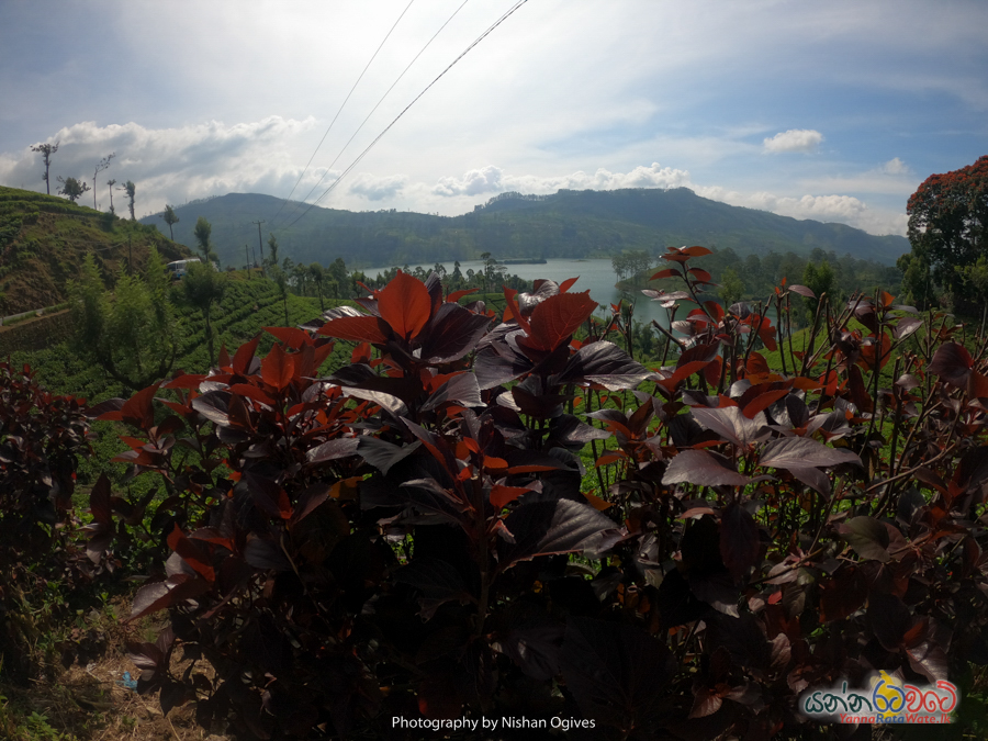 adams-peak 