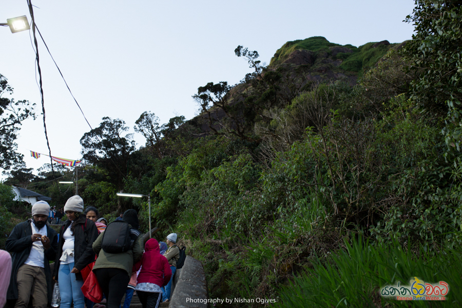 adams-peak 