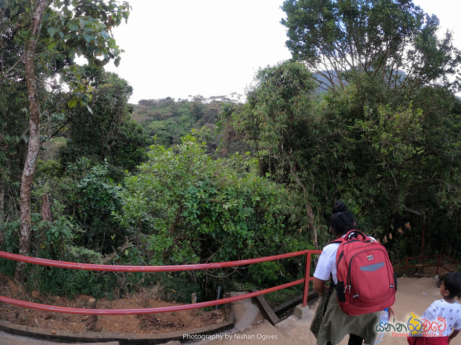 adams-peak 