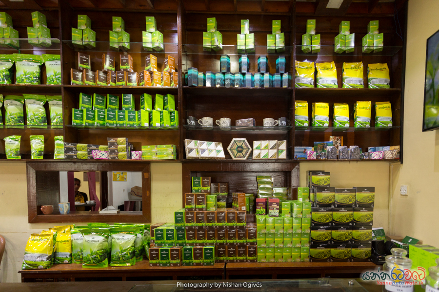 Damro Tea Center Sri Lanka 