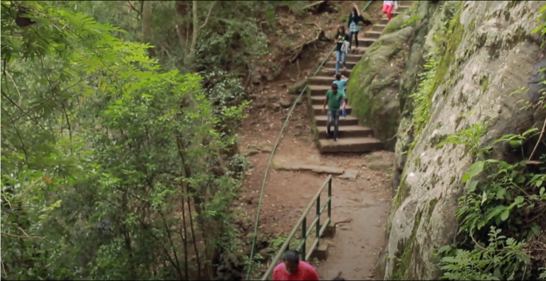 Dunhinda Falls Trekking path 