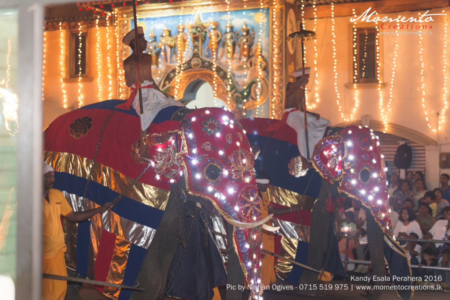 kandy esala perahera