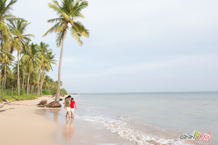 pasikuda beach