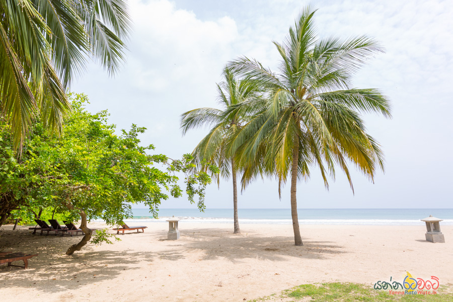 Anantaya Resort and Spa Pasikuda  Beach